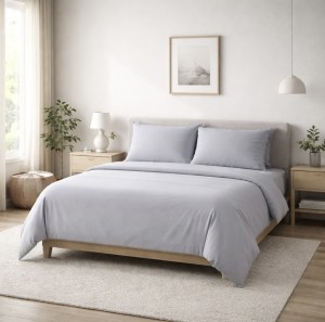 No hay imagen establecida 