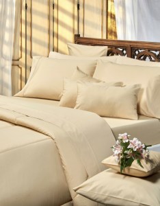 No hay imagen establecida 