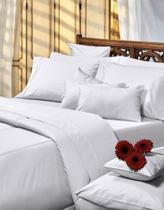 No hay imagen establecida 