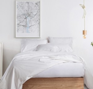 No hay imagen establecida 