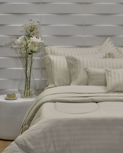 No hay imagen establecida 