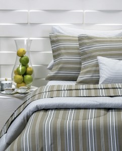 No hay imagen establecida 