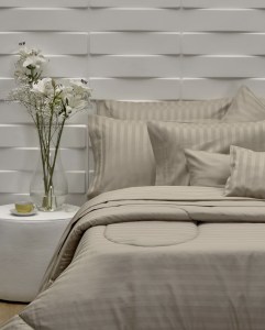 No hay imagen establecida 